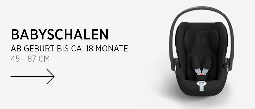 Cybex_Banner_Babyskydd_DEAT.jpg